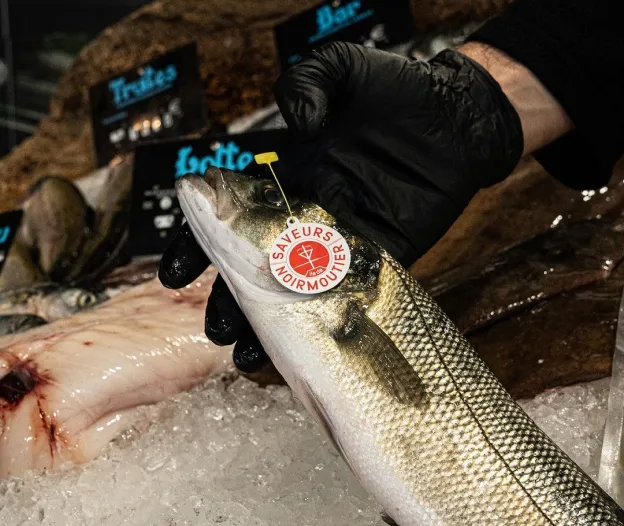 vente de poissons à Montévrain en Seine-et-Marne 77