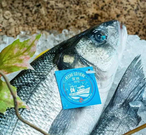 poissons de saison à Montévrain en Seine-et-Marne 77